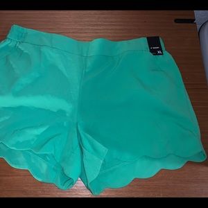NWT NY&Co shorts